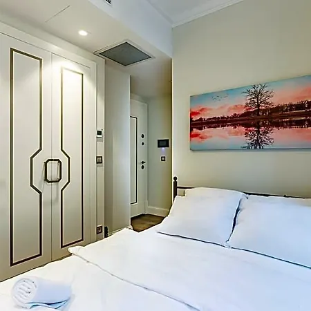 Modern House With Location In Beyoglu