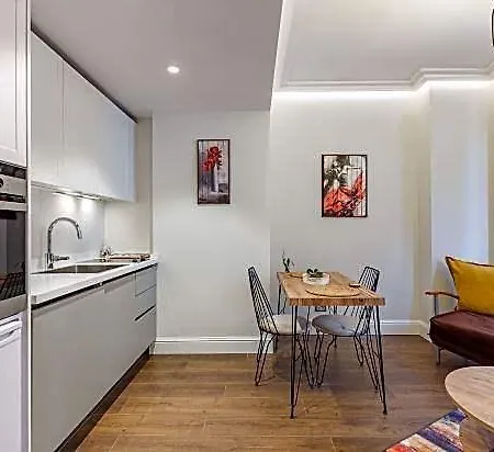 Modern House With Location In Beyoglu